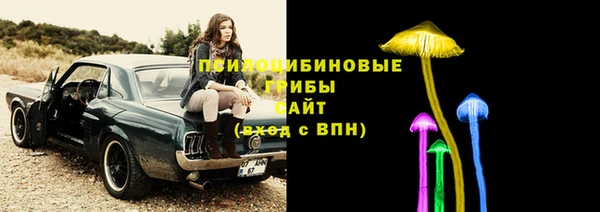 Альфа ПВП Бугульма