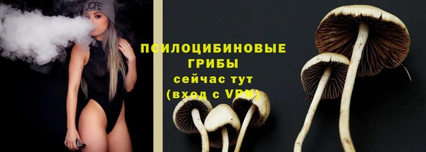 Альфа ПВП Бугульма