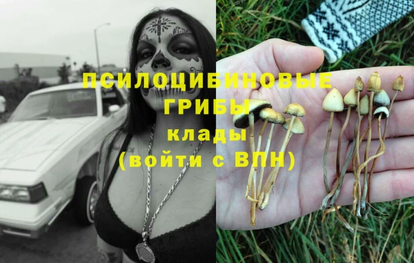 Альфа ПВП Бугульма