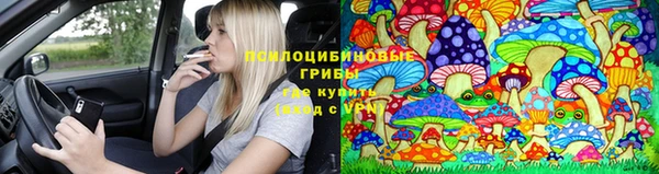 тгк Бронницы