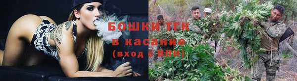 тгк Бронницы