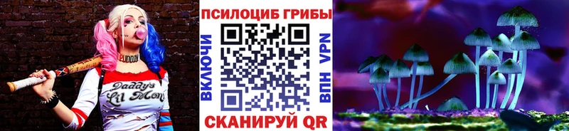 Галлюциногенные грибы прущие грибы Кодинск