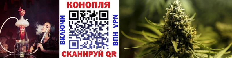 гидра ТОР  Кодинск  Конопля THC 21%  маркетплейс официальный сайт  как найти закладки 
